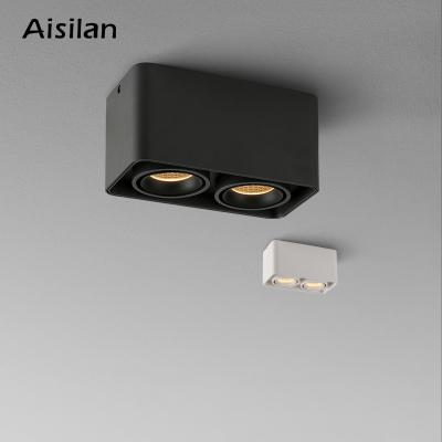 China Aisilan Single Mid Century Dining Hall Interior Double Heads Dimmable Ceiling GU10 Barrisol Light Led for sale