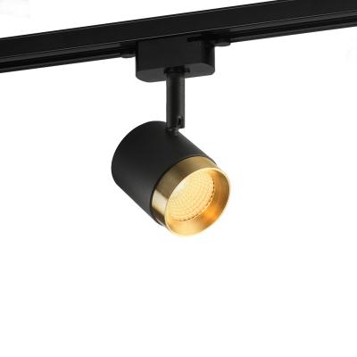 China Modern EUROPEAN Aisilan Living Room Ceiling Aputure Lighting Rotatable Gold COB Track Spotlight Led for sale