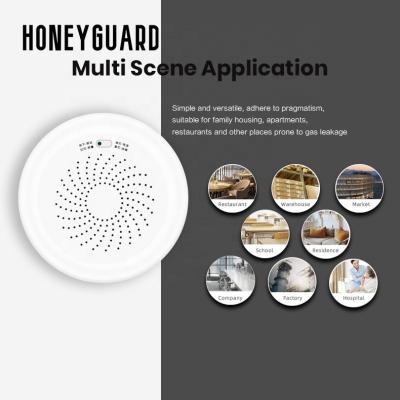 China HONEYGUARD HSA009 Tuya Remote Control App WiFi Wireless Noise and Light Alarm Home Security Co Carbon Monoxide Gas Detector for sale