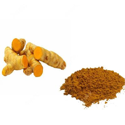 China 100% Pure Turmeric Powder Dry Turmeric Powder Wholesale Price In USA for sale