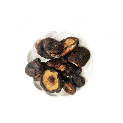 China Fried Snack Food Dry Natural Nutritious Tasty Crispy Shiitake Mushroom for sale