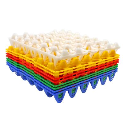 China Chicken Farm Equipment Egg Tray For Chicken High Quality Animal Egg Tray Chicken Farm Plastic Egg Tray for sale