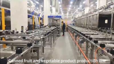 Cina OEM Macchine di imballaggio alimentare in scatola Produzione di prodotti ortofrutticoli in vendita