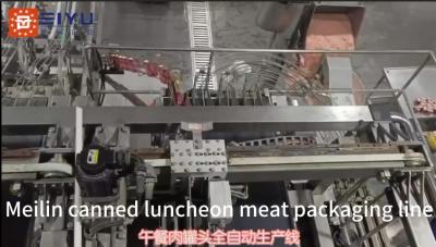 China Meilin Luncheon Meat Canned Food Packaging Machine production Line for sale