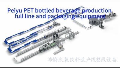 China Peiyu PET Bottled Beverage Production Full Line And Packaging Equipments for sale