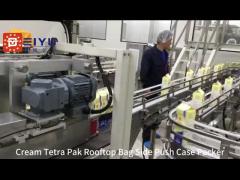 Cream Tetra Pak Rooftop Bag Side Push Case Packer