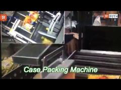 intelligent robotic bottle case packing machine fully automatic bag packaging