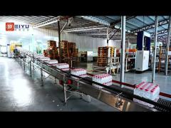 Box conveyor for 24000BPH bottled water production line
