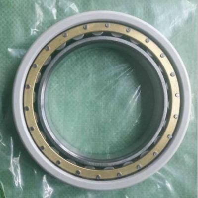 China Stable performance: low voice INSOCOAT Bearing NU 319 ECM C3VL0241 Cylindrical Single Row Roller Bearings for sale