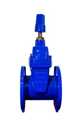 China Cast Iron F4 Gate Valve 4 Inch Gland Type ODM for sale