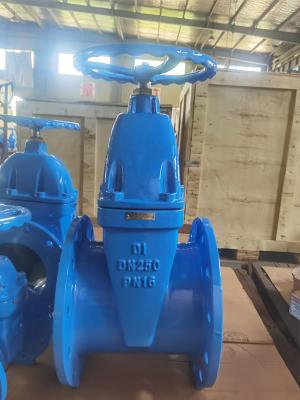 China DI PN25 BS5163 Gate Valve 10 Inch Flanged ISO9001 Certifcated for sale