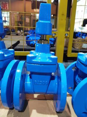 China Soft Seated DIN3202-F4 Gate Valve Fire Hydrant DI Custom for sale