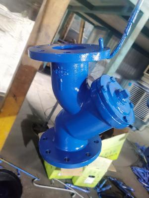 Cina Water / Steam / Oil Media Y Strainer Valve Flanged Connection Durable Design in vendita