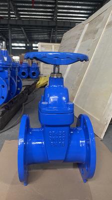 중국 and Long-Lasting BS5163 Gate Valve for Industrial Applications 판매용