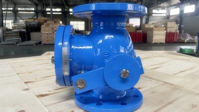 China Industrial Cast Iron Check Valve with Sturdy Construction Te koop