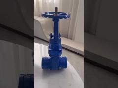 ANSI Rising Stem Soft Seat Groove  Gate Valve