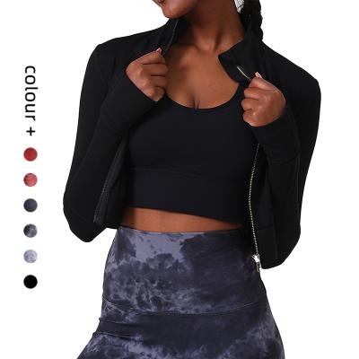 China Breathable Hot Selling Yoga Workout Outfit Long Sleeve Top Women Running Top Sports for sale