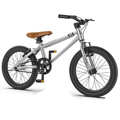 China Exercise Balance Hot Sales Wholesale Single Speed ​​Mini Mountain Bike 20