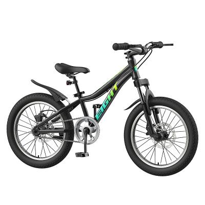 China Exercise Balance 16 20 Inch Kids Mountain Bike Kids Bike Bicycle Easy Rider Kids Bike Kids For Sale for sale