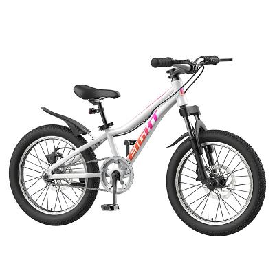 China China factory good quality wholesale hot sale height adjustable exercise balance kids bike /children mountain bike/kids bicycle for sale