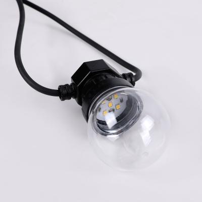 China 5M10Bulb/10M20Bulbs Best Price Globes Waterproof Outdoor Warm White G50 Ball String Lights for Wedding Holiday Party Decoration Light for sale