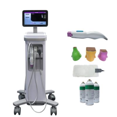 China Newest face lift magic beauty wrinkle removal Ther rf mage skin tightening Ther rf magic partial rf machine for sale for sale