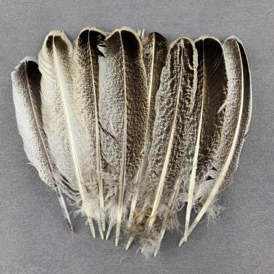 China From Turkey Real Turkey Feather Flight Wing Feathers For Natural Feather Decoration 100pcs Opens Carnival Jewelry Craft Accessories for sale