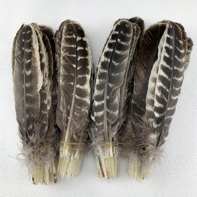 China Turkey Feather 100 pcs 25-32 cm 8-12 inch Natural Turkey Feathers For Crafts DIY Collection Wedding Party Home Decorations for sale