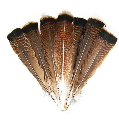 China Dark Natural Turkey Feather New100pcs 20-30cm/8-12 Feathers For Mask DIY Penacho Pluma Accessories for sale