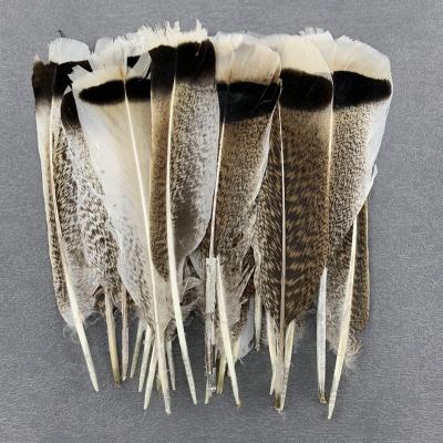 China Turkey Feather 10-100pcs Natural Light Turkey Feathers Vintage 20-30cm/8-12Inch White For Mask DIY Penacho Pluma Accessories for sale