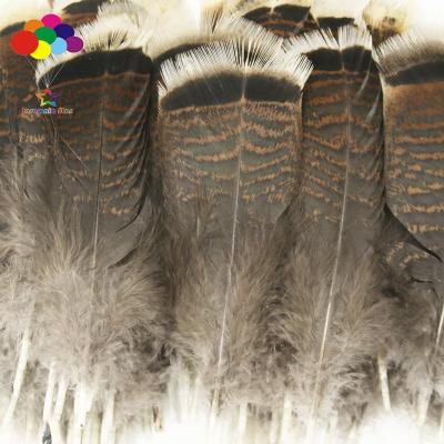 China Turkey Feather 6-8inch /15-20cm Precious Nature Wild Turkey Tail Feathers for sale