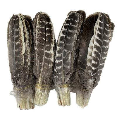 China High Quality 100% Turkey Feather Pheasant Turkey Feathers 8-13inch /20-32cm Natural Tail Beautiful For Diy Carnival Costume Mask Headdress for sale