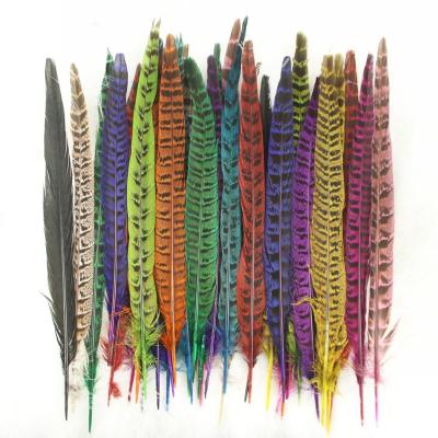 China Feather Dyed Natural Pheasant Tail Feathers 25-35 CM/10-14 Inch DIY Craft Ornaments Pendant Accessories for sale