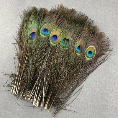 China Natural Home Feather Peacock Feather 100 Pcs Peacock Feather Eye Wedding Decoration Crafts 25-45CM/10-18Inch DIY for sale