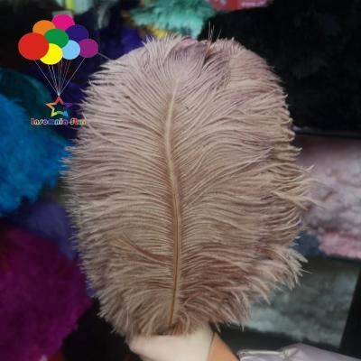 China 100pcs Light Ostrich Feather Beautiful 8-10inches/20-25cm Khaki Hot Sale Ostrich Feather DIY Jewelry Decoration/Wedding Celebration for sale