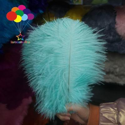 China Cheap wholesale price artificial ostrich feather mint and dyed big colors 20-25cm post ostrich feather wedding table decoration feather for sale