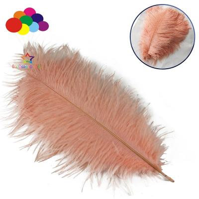 China Pink Ostrich Feather Shell 100pcs Ostrich Feather Feathers for Crafts, Wedding, Home Decor (6-8 inch, 1 pack) for sale