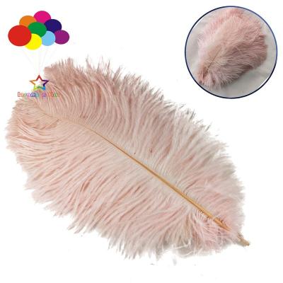 China Ostrich Feather 100 Pcs Ostrich Feather Feathers For Crafts Wedding Decor Light Pink 6-8 Inch for sale