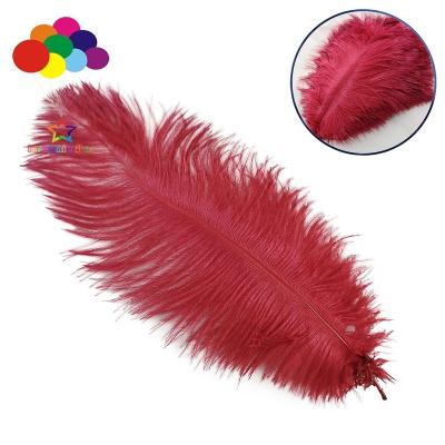 China Ostrich Feather Burgundy 100 Pieces 6-8