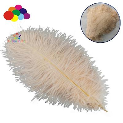 China Ostrich Feather 100 Pcs 15-20CM Champagne Ostrich Feathers For Decoration DIY Jewelry Opens Ostrich Feather Decor Accessories Wedding Plumas for sale