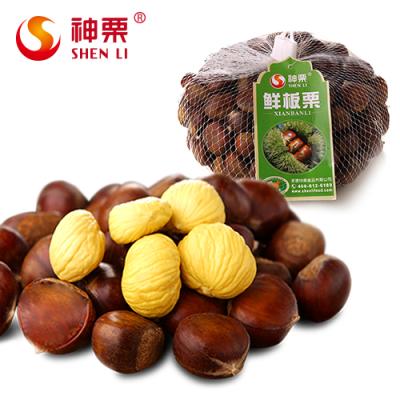 China Color Kuancheng 25KG Good Fresh Chestnut for sale