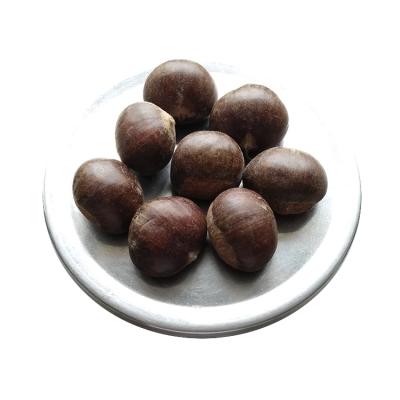 China 2021 new fresh chestnuts from cultivation 140 grains/kg Beijing for sale