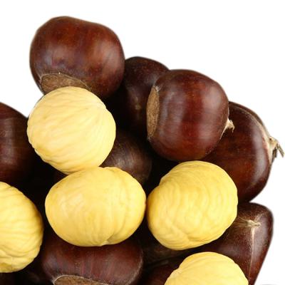 China 2021 25Kg Fresh Top Grading Hebei Fresh Chestnut for sale