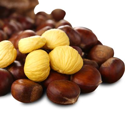 China Fresh Easy To Peel 5KG Fresh Chestnut for sale