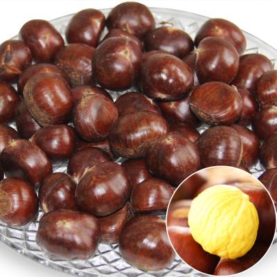 China Hebei fresh high quality zunhua chestnut for sale