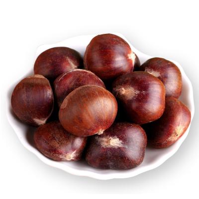 China Fresh top grade Hebei xinglong chestnut for sale