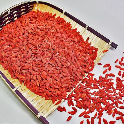 China Best dried ready-to-eat goji fruit for sale