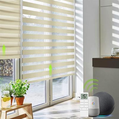 China Minimalist Top Selling Indoor Zebra Roller Shades Pure Double Layer Zebra Roller Shade Privacy For Windows Light Control for sale