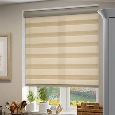 China Top Selling Minimalist Indoor Zebra Roller Shades Battery Motorized Blinds Blackout Zebra Blind For Window for sale