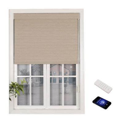 China Sun Minimalist 100 Blackout Blackout Window Shade Roller Shade Sun Electric Remote Control Automatic Patio Door for sale